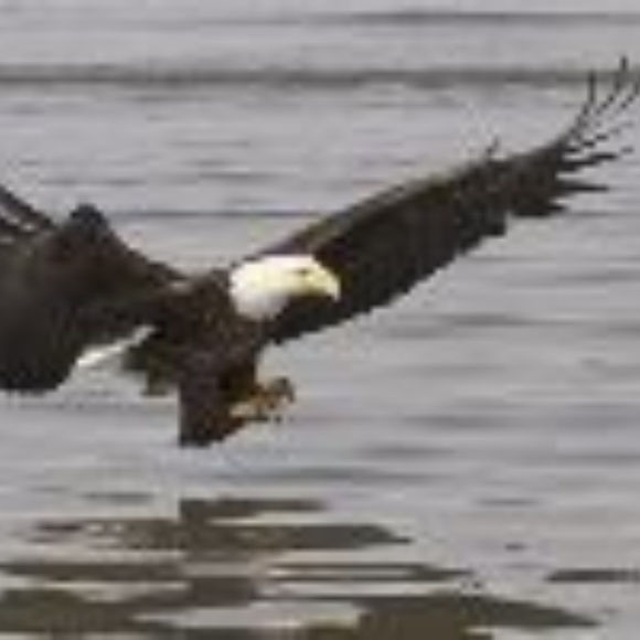 Meet your Posher, Mike c - Picture 2 of 2